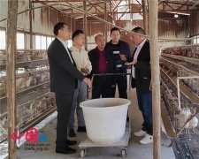 龔國林主任一行赴湖北能鵬人參雞公司考察交流謀共進