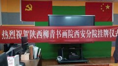 陜西柳青書(shū)畫(huà)院西安分院舉行掛牌儀式
